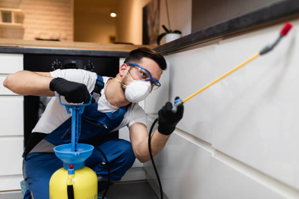 Best Residential Pest Control  in Warrenton, OR