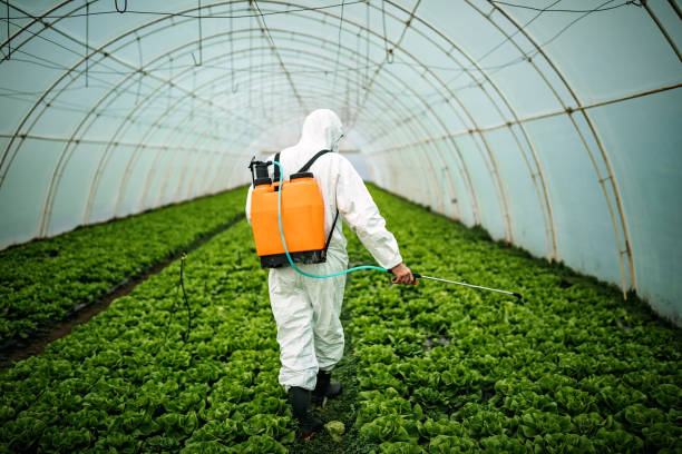 Best Mosquito Control Services  in Warrenton, OR